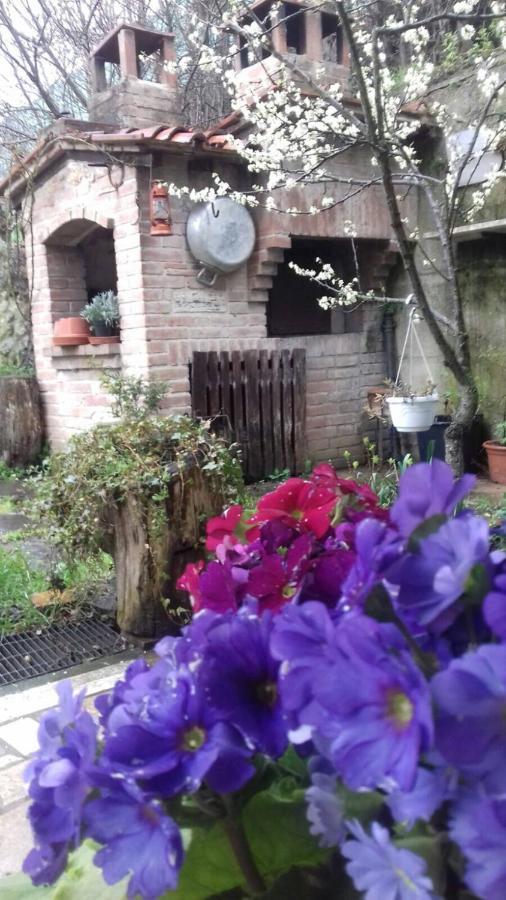 Casa Patti Alle Porte Di Siena Exterior foto