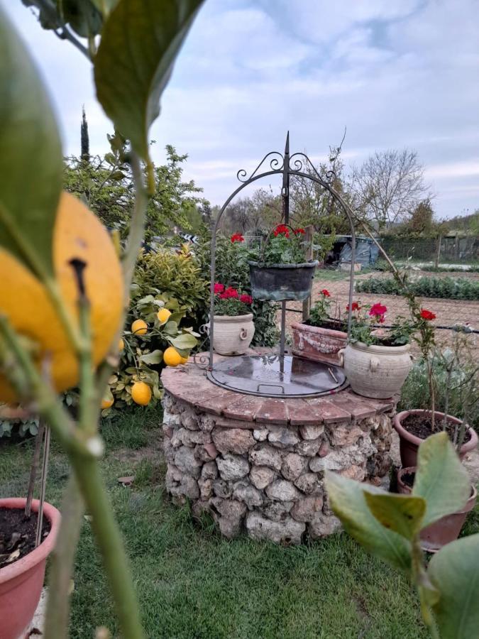 Casa Patti Alle Porte Di Siena Exterior foto